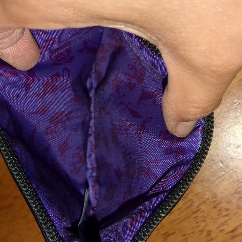 Disney Princess Jasmine and Rajah Wristlet - Picture 3 of 5